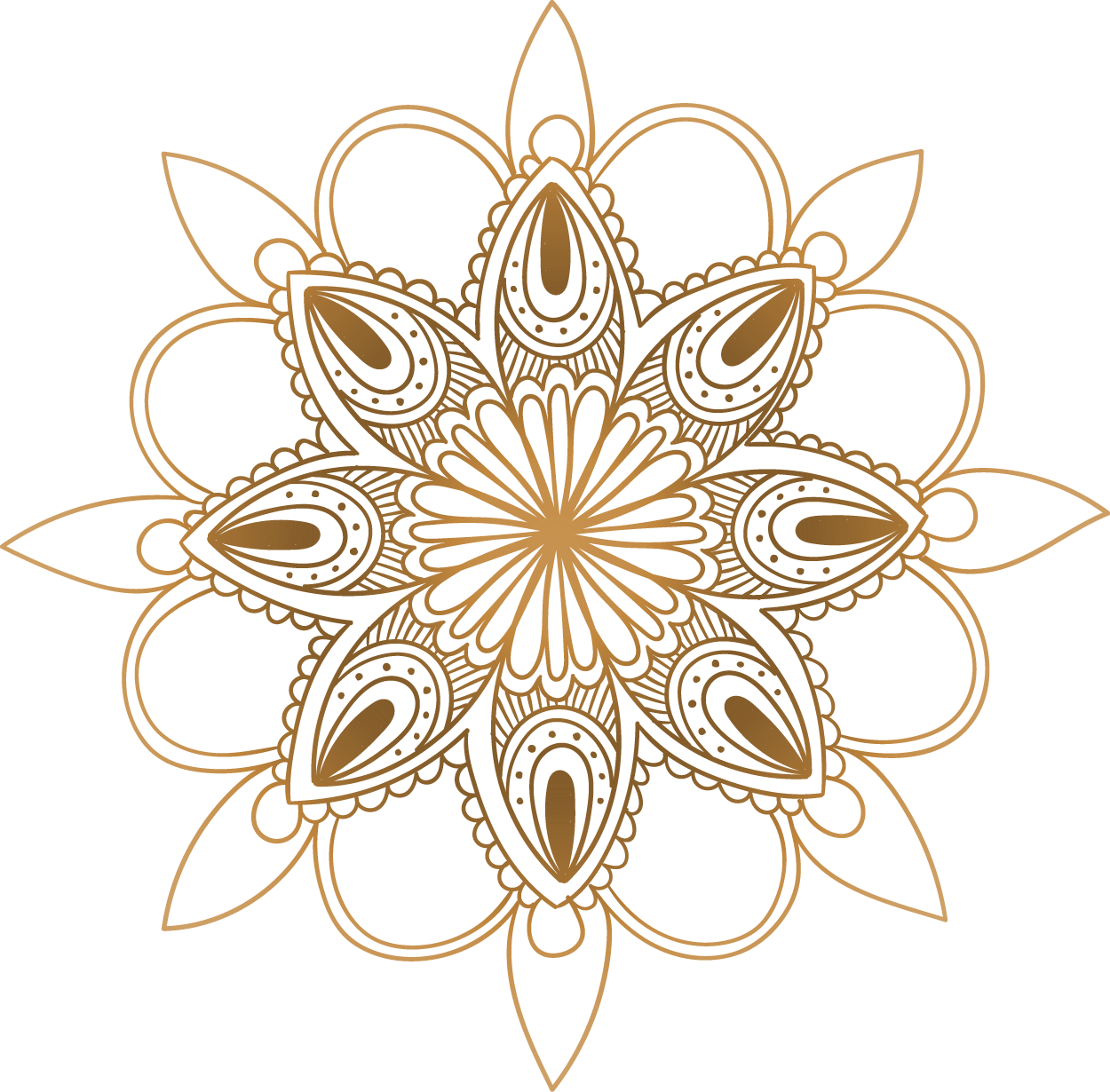 Shape