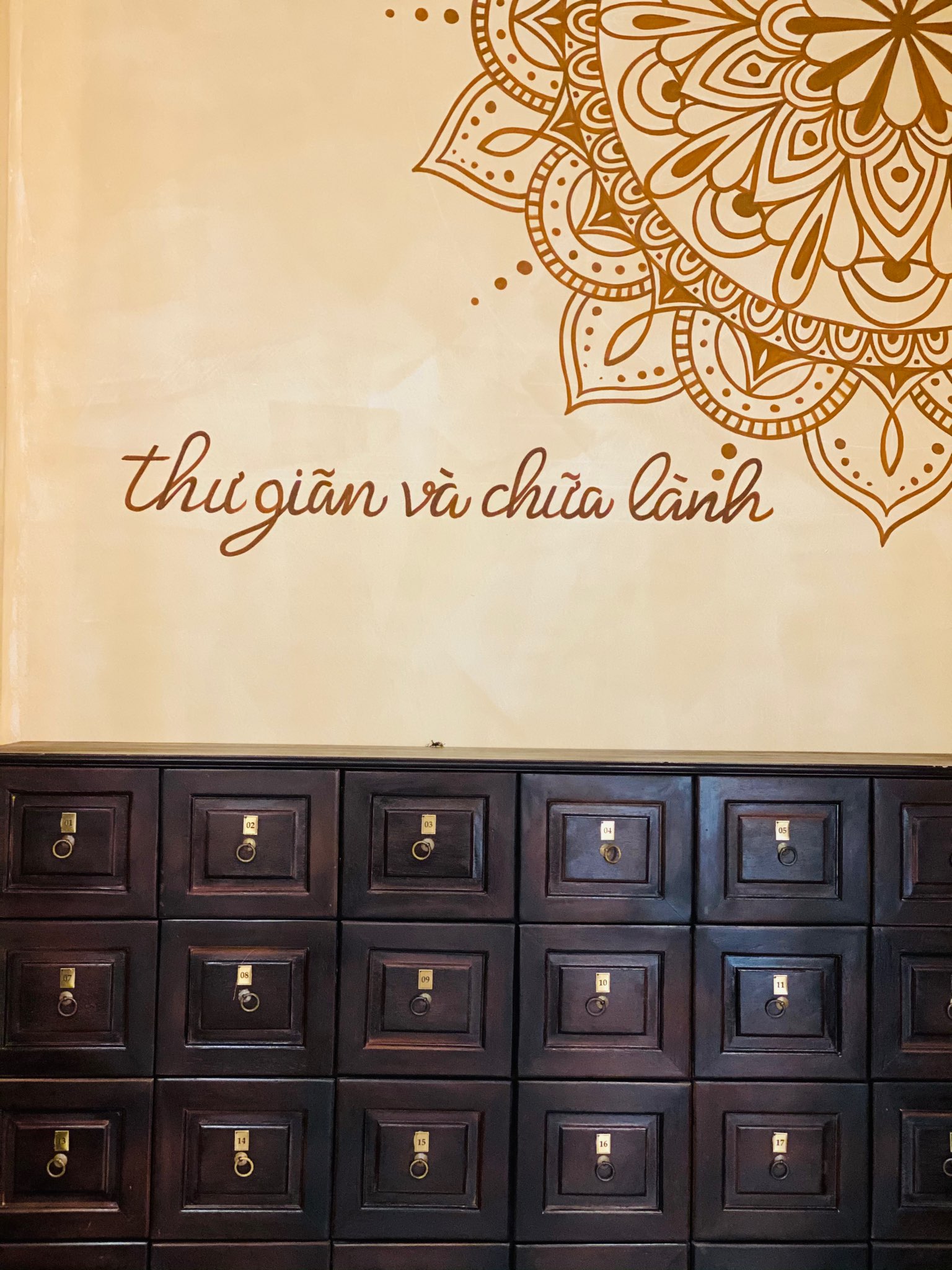 Gội đầu dưỡng sinh giá bao nhiêu