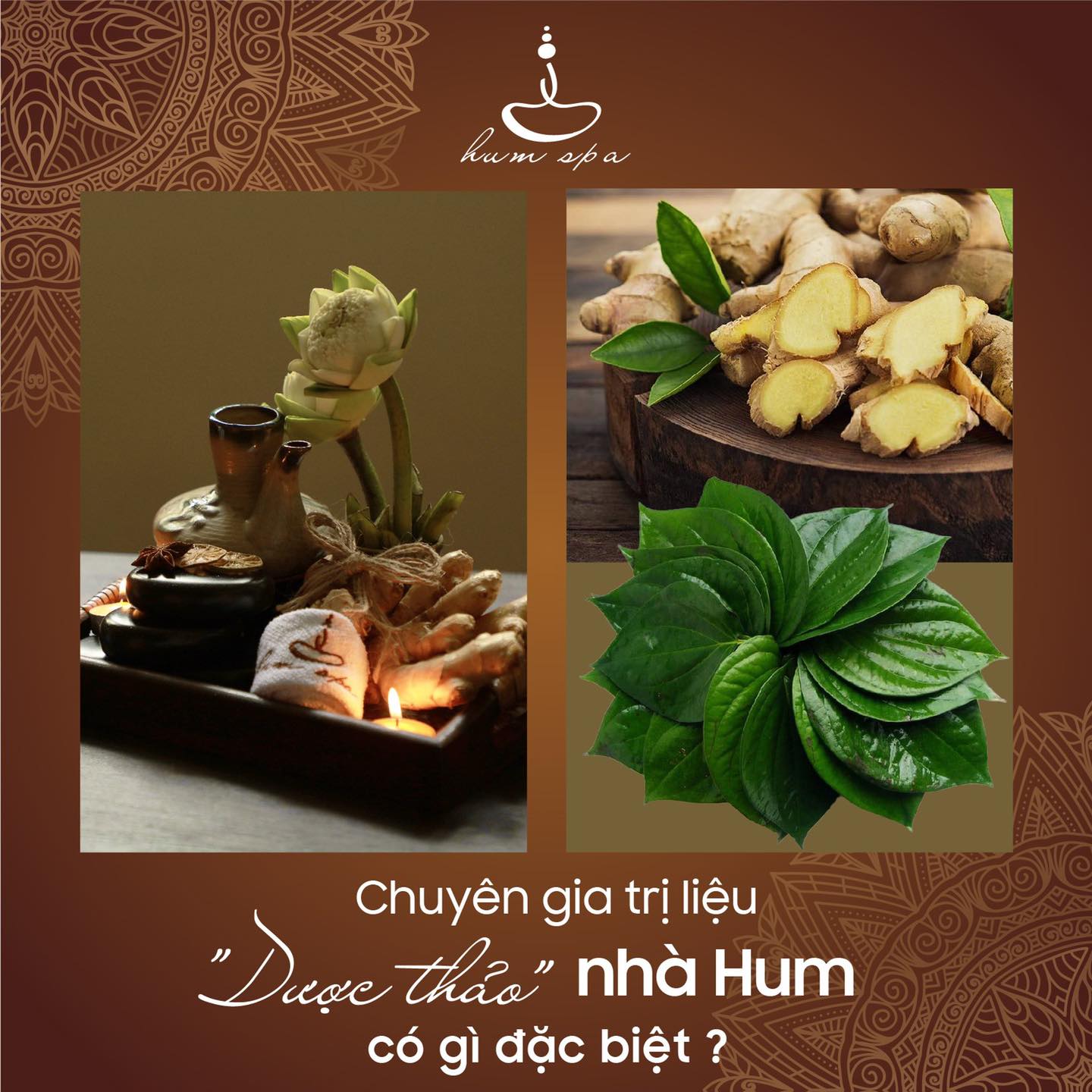 Chua-lanh-bang -thao-duoc-Bi- quyet-song-lan h-manh-va-hanh -phuc-hon-2.jp eg